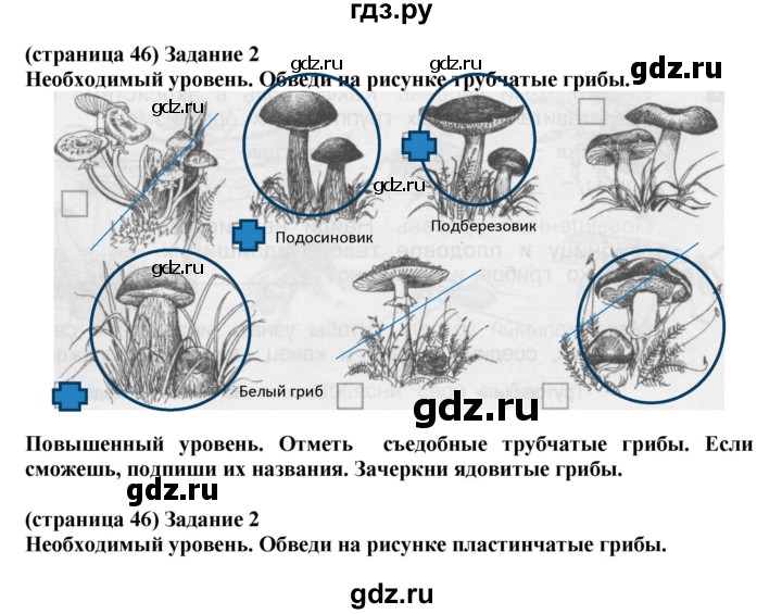 ГДЗ по окружающему миру 3 класс Вахрушев проверочные и контрольные работы  часть 1 Вахрушев (страница) - 46, Решебник