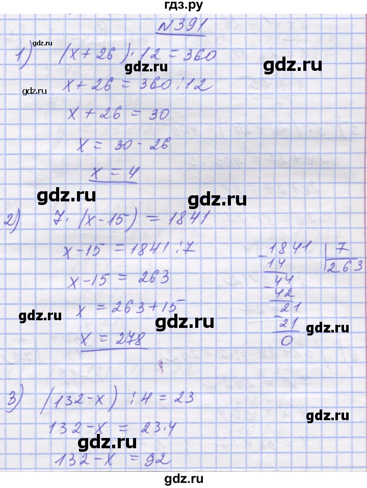 ГДЗ по математике 5 класс Истер   вправа - 391, Решебник №1