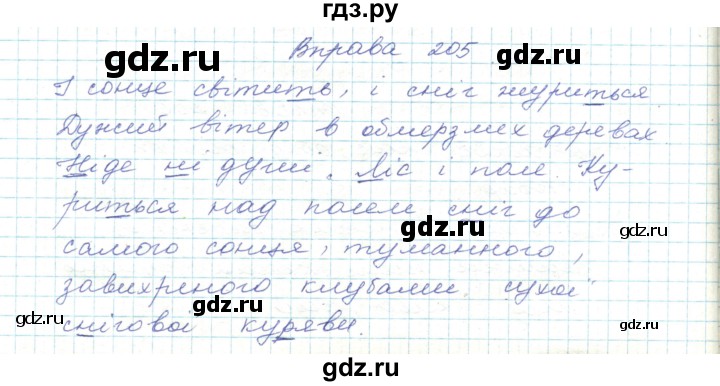 ГДЗ по украинскому языку 5 класс Ермоленко   вправа - 205, Решебник