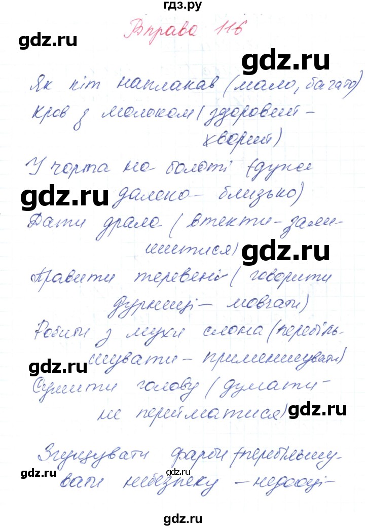 ГДЗ по украинскому языку 6 класс Заболотний   вправа - 116, Решебник
