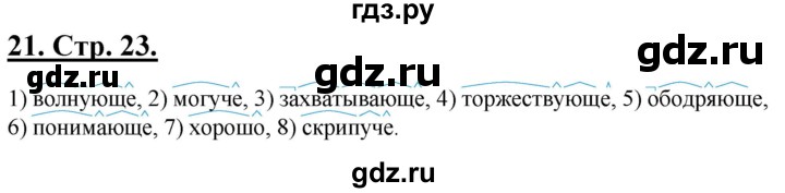 ГДЗ по русскому языку 6 класс Склярова рабочая тетрадь (Быстрова)  часть 4. страница - 23, Решебник