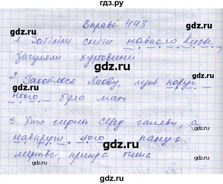 ГДЗ по украинскому языку 7 класс Заболотний   вправа - 443, Решебник