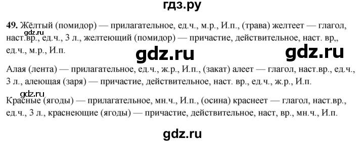 ГДЗ по русскому языку 7 класс Янченко рабочая тетрадь Скорая помощь (Баранов)  упражнение - 49, Решебник 2023
