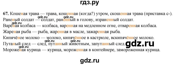 ГДЗ по русскому языку 7 класс Янченко рабочая тетрадь Скорая помощь (Баранов)  упражнение - 67, Решебник 2023