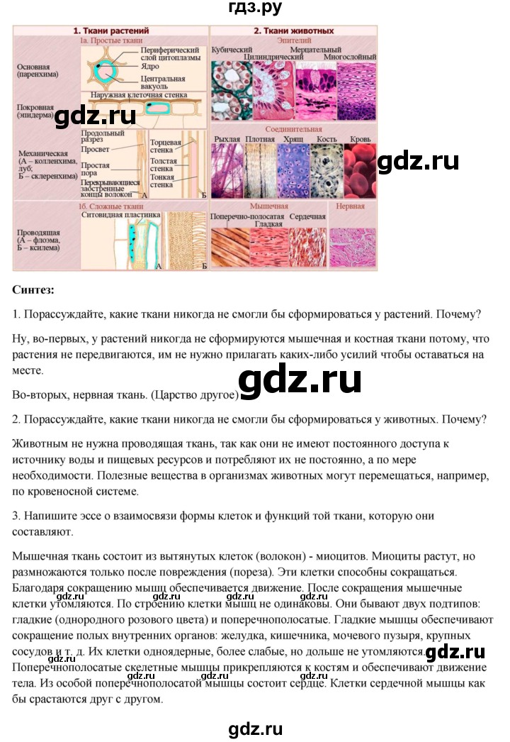ГДЗ по биологии 8 класс Соловьёва   параграф - 2, Решебник