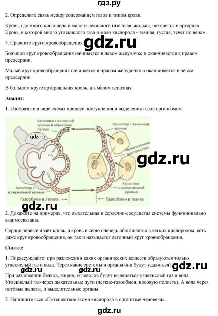 ГДЗ по биологии 8 класс Соловьёва   параграф - 25, Решебник