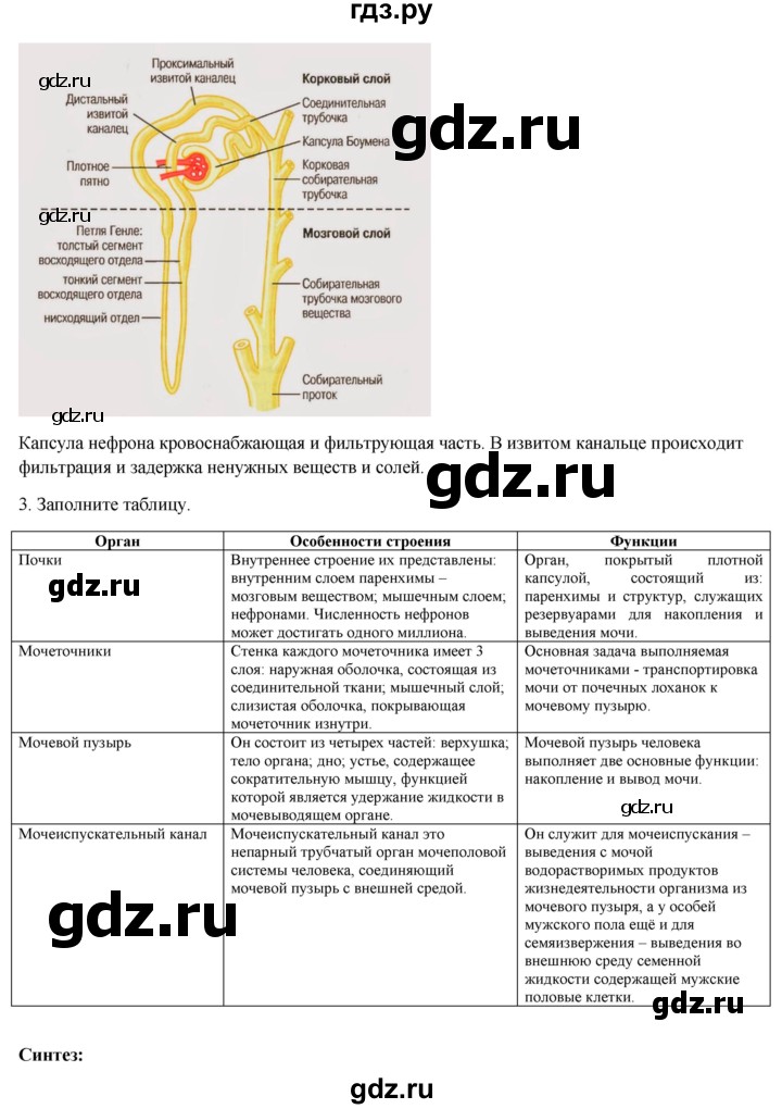 ГДЗ по биологии 8 класс Соловьёва   параграф - 28, Решебник