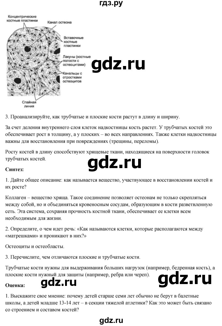 ГДЗ по биологии 8 класс Соловьёва   параграф - 32, Решебник