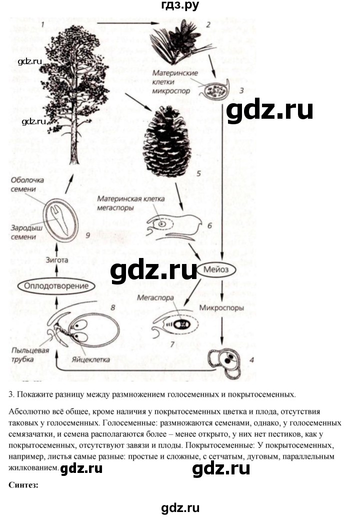 ГДЗ по биологии 8 класс Соловьёва   параграф - 48, Решебник
