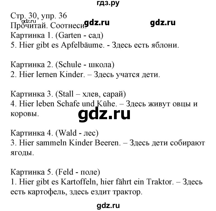 ГДЗ по немецкому языку 3 класс Захарова Wunderkinder Plus Углубленный уровень часть 1. страница - 30, Решебник