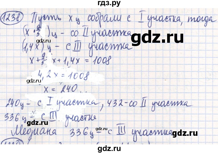 ГДЗ по математике 6 класс Алдамуратова   упражнение - 1238, Решебник