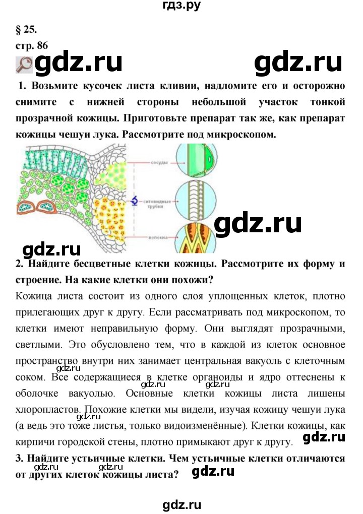 ГДЗ по биологии 7 класс Пасечник   параграф - 25, Решебник