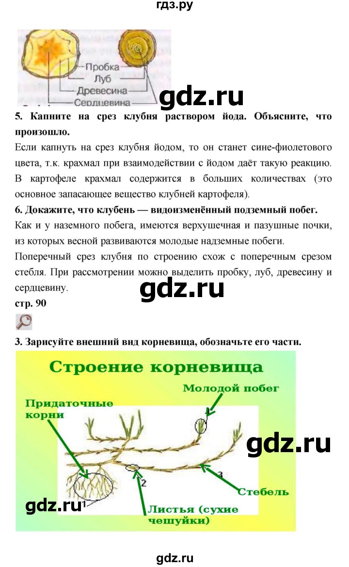 Биология 26. Конспект по биологии 17 параграф 7 класс Пасечник. Биология 7 класс конспекты. Биология 7 класс параграф 22.