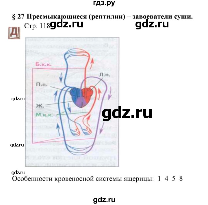 ГДЗ по биологии 7 класс Шаталова   параграф - 27, Решебник