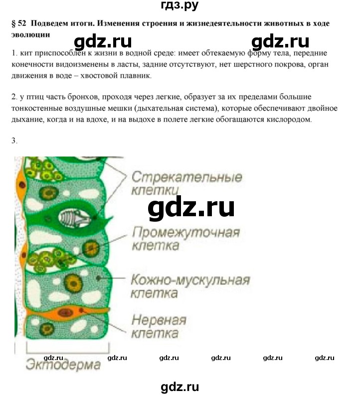 ГДЗ по биологии 7 класс Шаталова   параграф - 52, Решебник