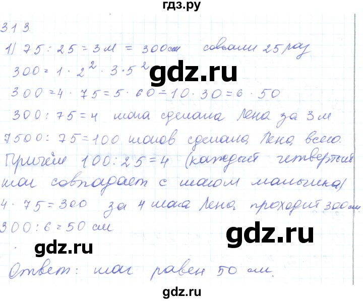 ГДЗ по математике 5 класс Алдамуратова   упражнение - 313, Решебник