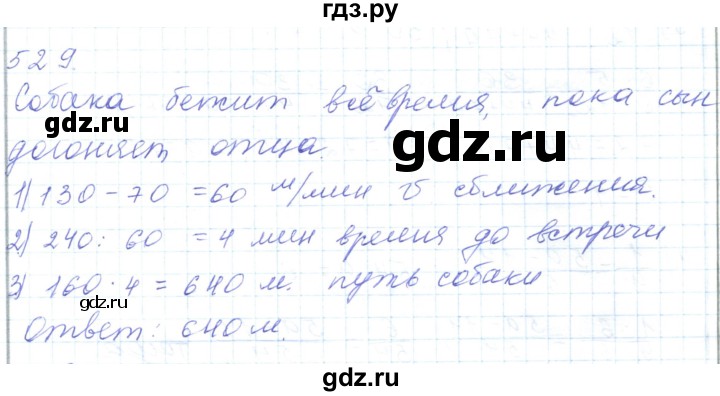 ГДЗ по математике 5 класс Алдамуратова   упражнение - 529, Решебник