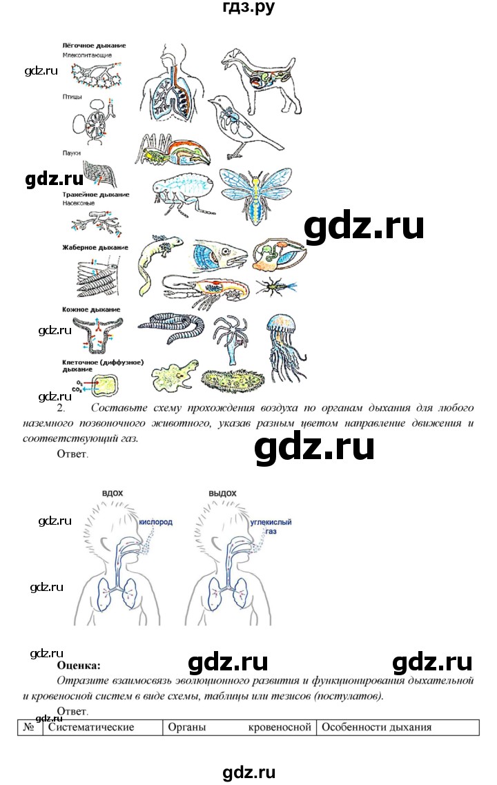 ГДЗ по биологии 7 класс Соловьева   страница - 102, Решебник