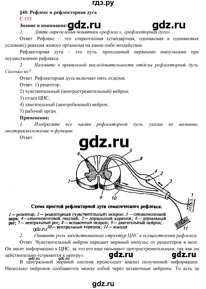 ГДЗ по биологии 7 класс Соловьева   страница - 153, Решебник