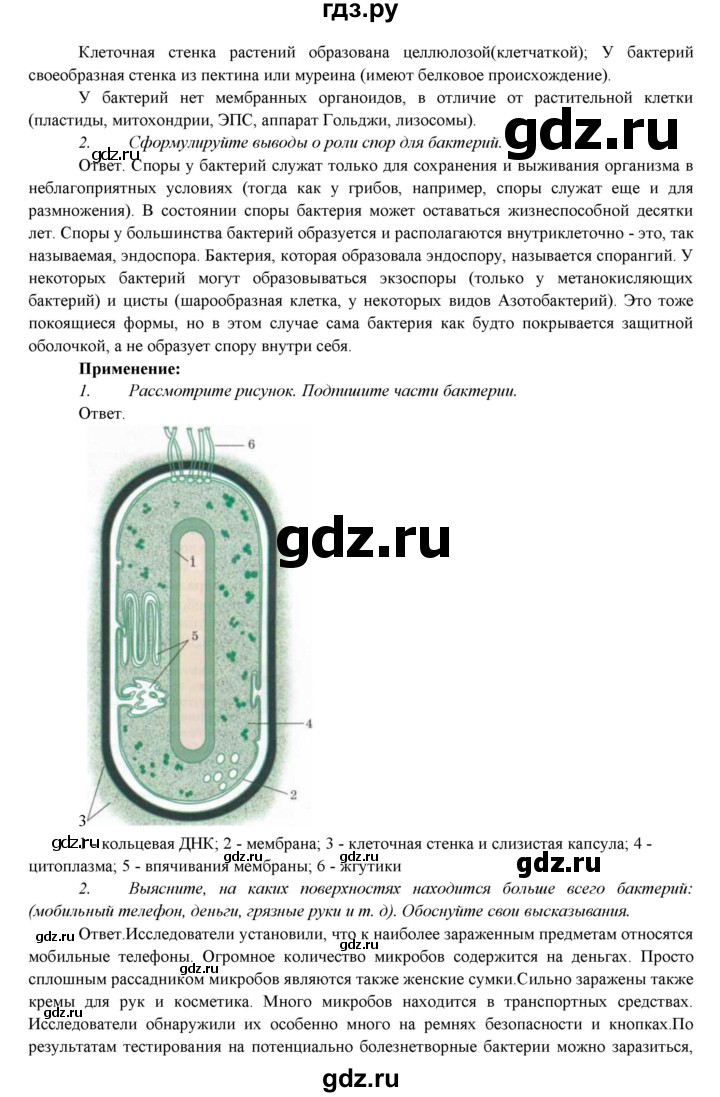 ГДЗ по биологии 7 класс Соловьева   страница - 221, Решебник