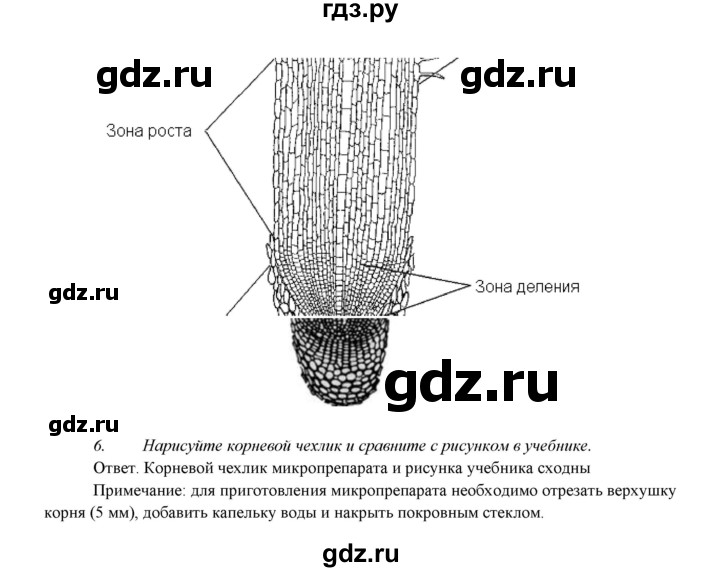 ГДЗ по биологии 7 класс Соловьева   страница - 235, Решебник
