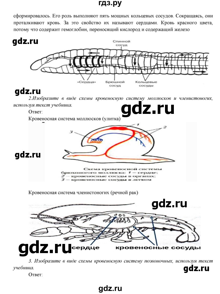 ГДЗ по биологии 7 класс Соловьева   страница - 83, Решебник