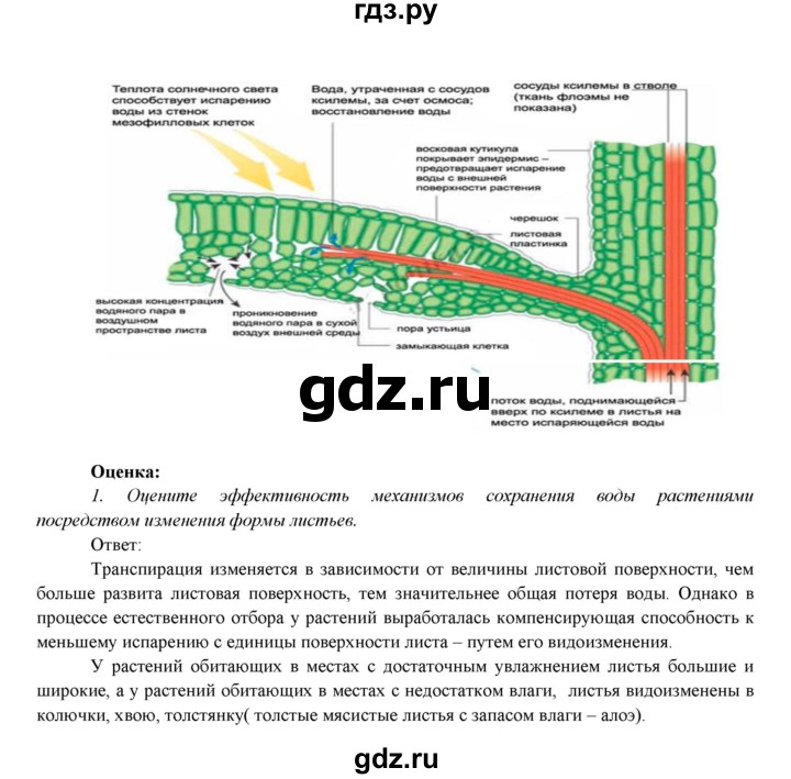ГДЗ по биологии 7 класс Соловьева   страница - 88, Решебник