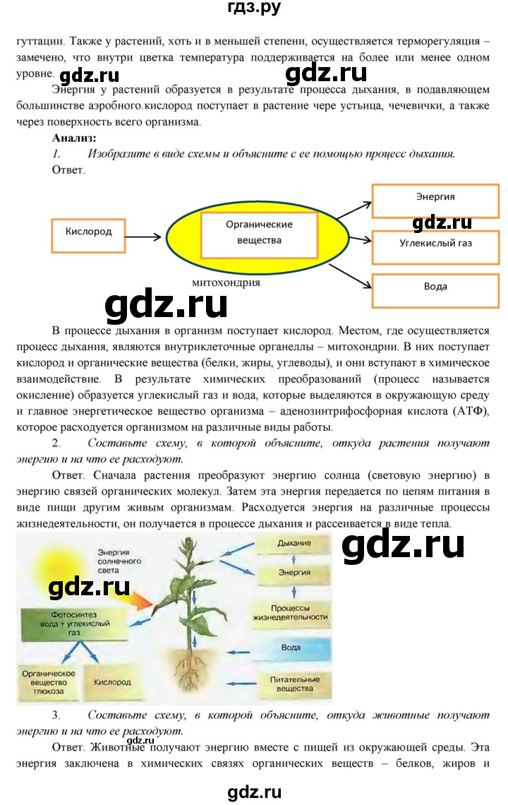 ГДЗ по биологии 7 класс Соловьева   страница - 96, Решебник