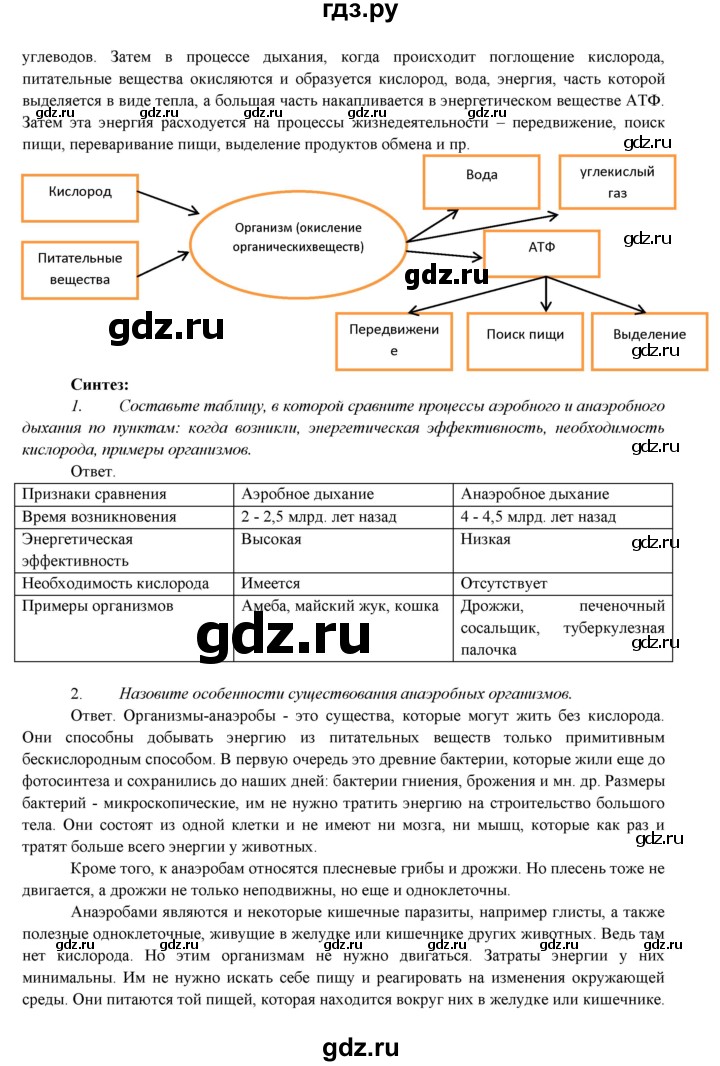 ГДЗ по биологии 7 класс Соловьева   страница - 96, Решебник