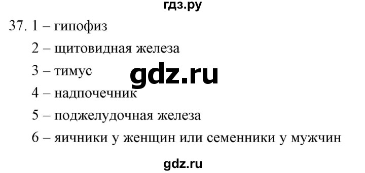 ГДЗ по биологии 9 класс  Сонин рабочая тетрадь Человек (Сапин)  упражнение - 37, Решебник