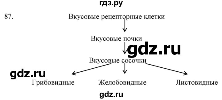 ГДЗ по биологии 9 класс  Сонин рабочая тетрадь  упражнение - 87, Решебник