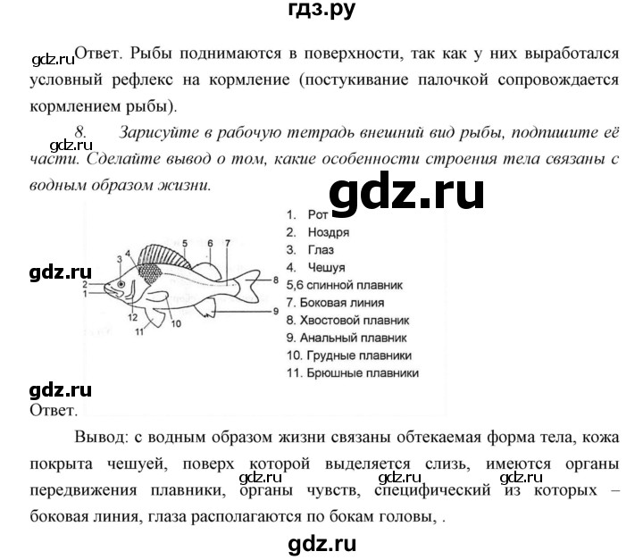 ГДЗ по биологии 7 класс Сивоглазов   параграф - 21, Решебник