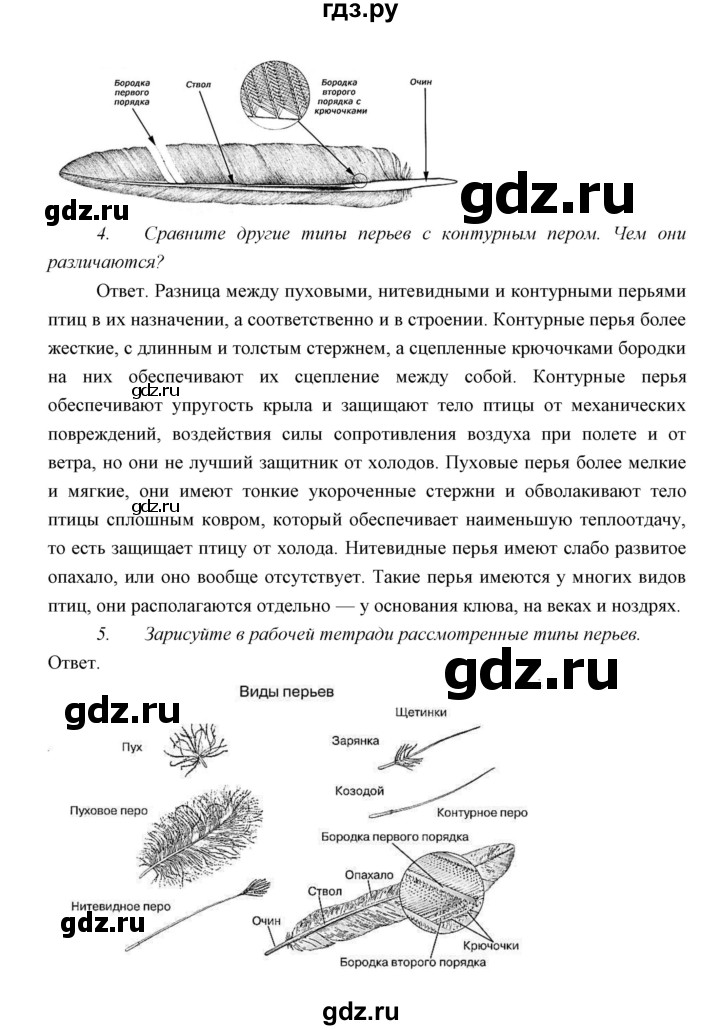 ГДЗ по биологии 7 класс Сивоглазов   параграф - 25, Решебник