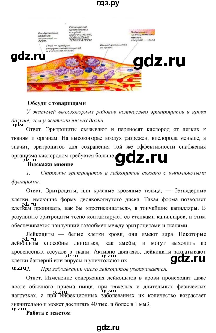 ГДЗ по биологии 8 класс Сивоглазов   параграф - 24, Решебник