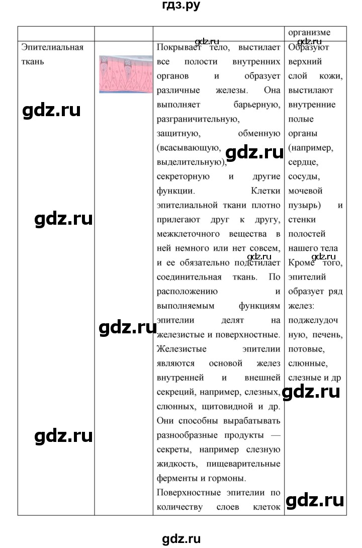 ГДЗ по биологии 8 класс Сивоглазов   параграф - 5, Решебник