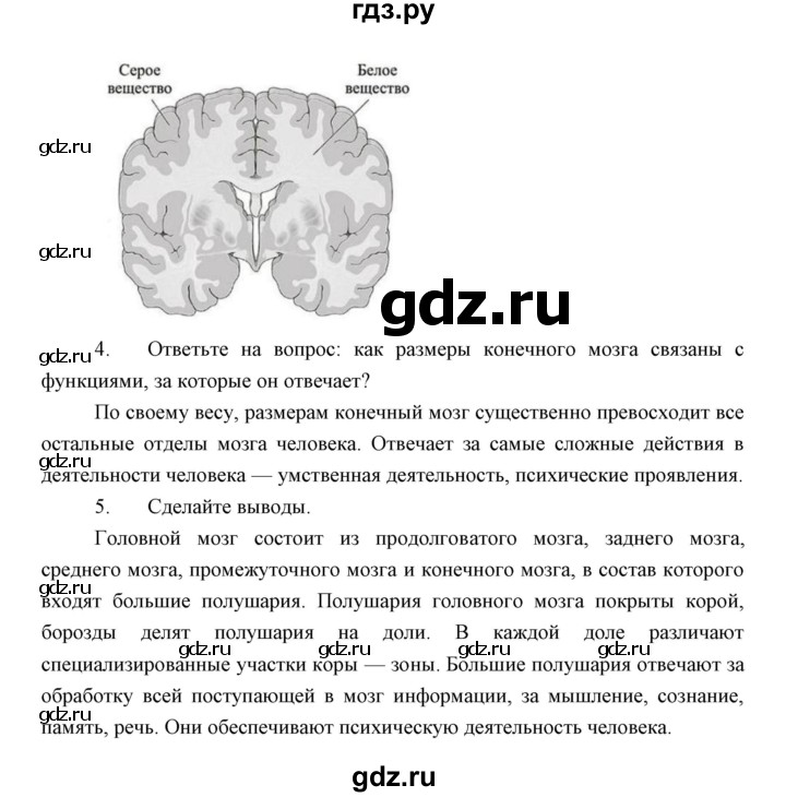 ГДЗ по биологии 8 класс Сивоглазов   параграф - 9, Решебник