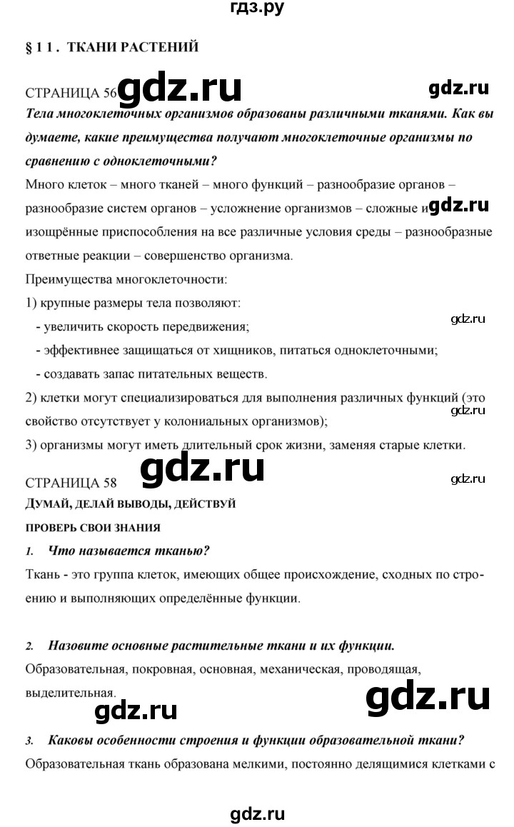 ГДЗ по биологии 5 класс Сивоглазов   параграф - 11, Решебник