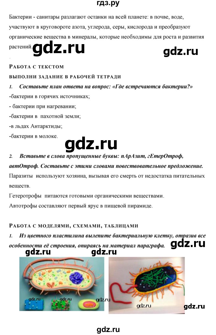 ГДЗ по биологии 5 класс Сивоглазов   параграф - 17, Решебник