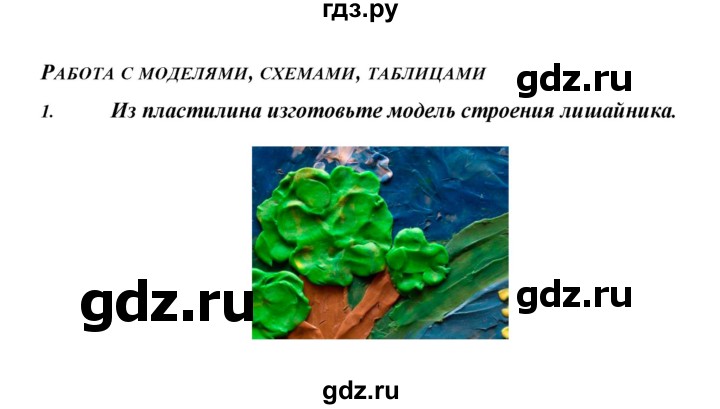 ГДЗ по биологии 5 класс Сивоглазов   параграф - 24, Решебник