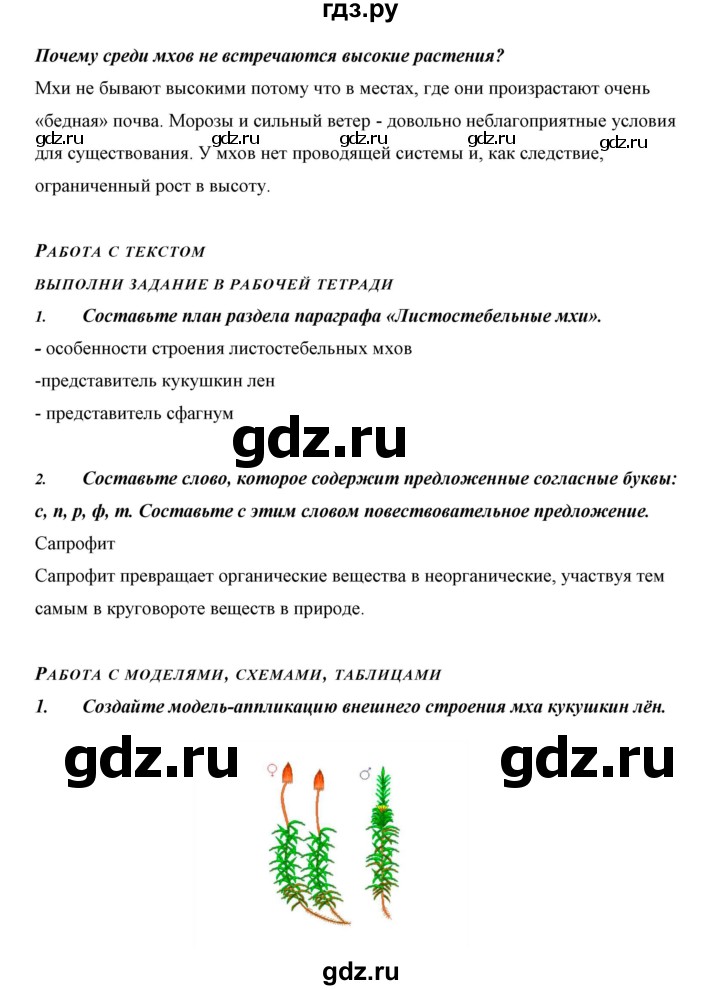ГДЗ по биологии 5 класс Сивоглазов   параграф - 25, Решебник