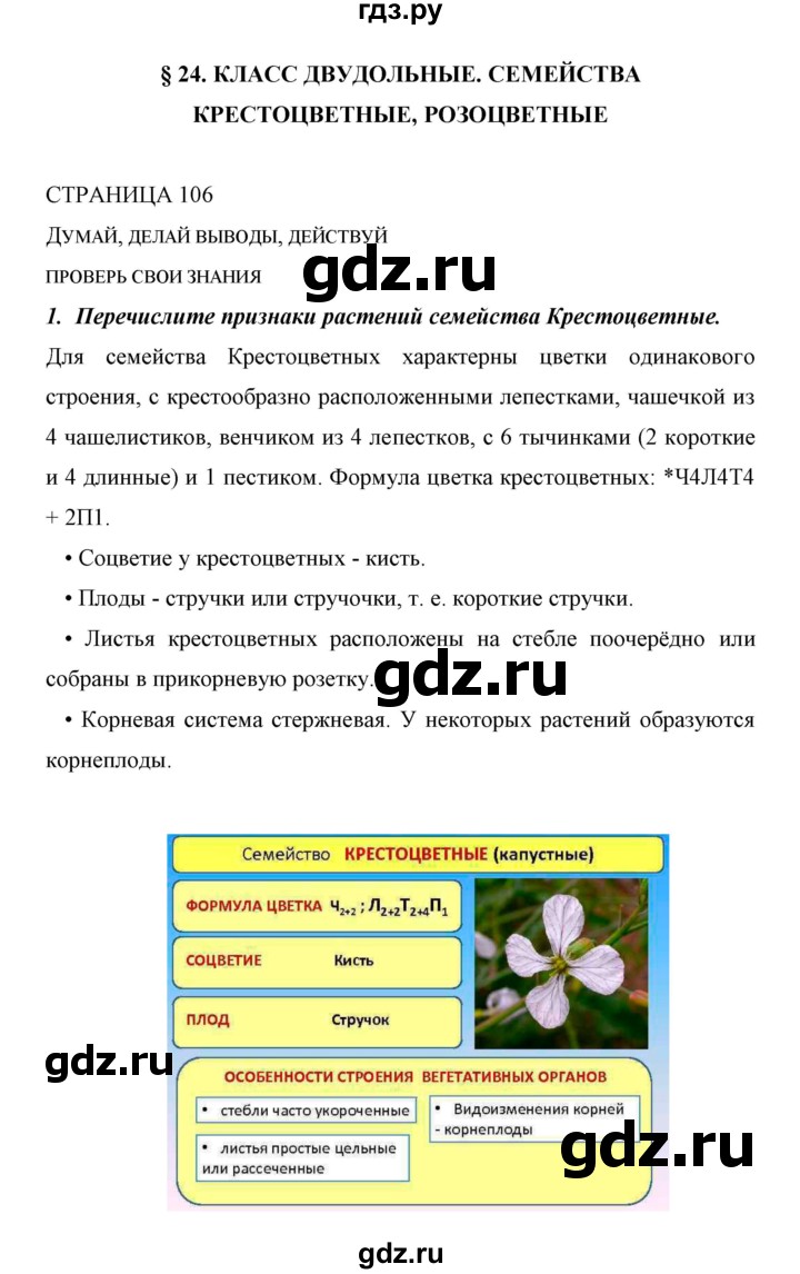 ГДЗ по биологии 6 класс Сивоглазов   страница - 106, Решебник