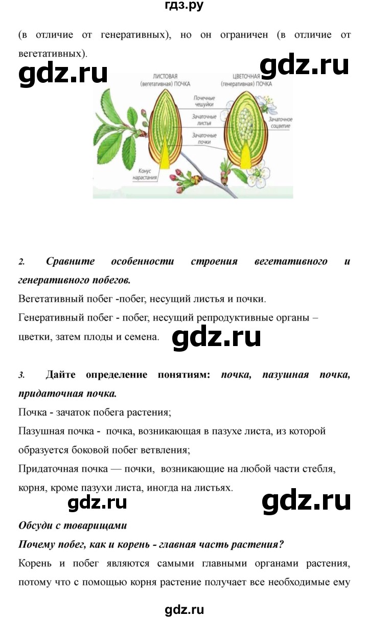 ГДЗ по биологии 6 класс Сивоглазов   страница - 24, Решебник