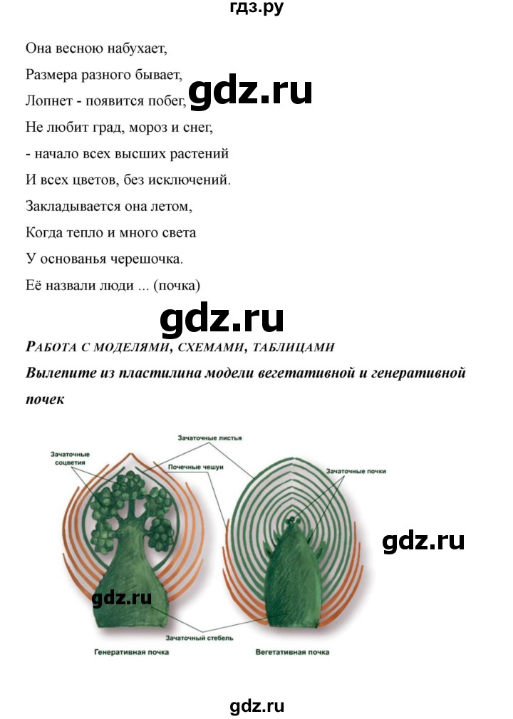 ГДЗ по биологии 6 класс Сивоглазов   страница - 24, Решебник