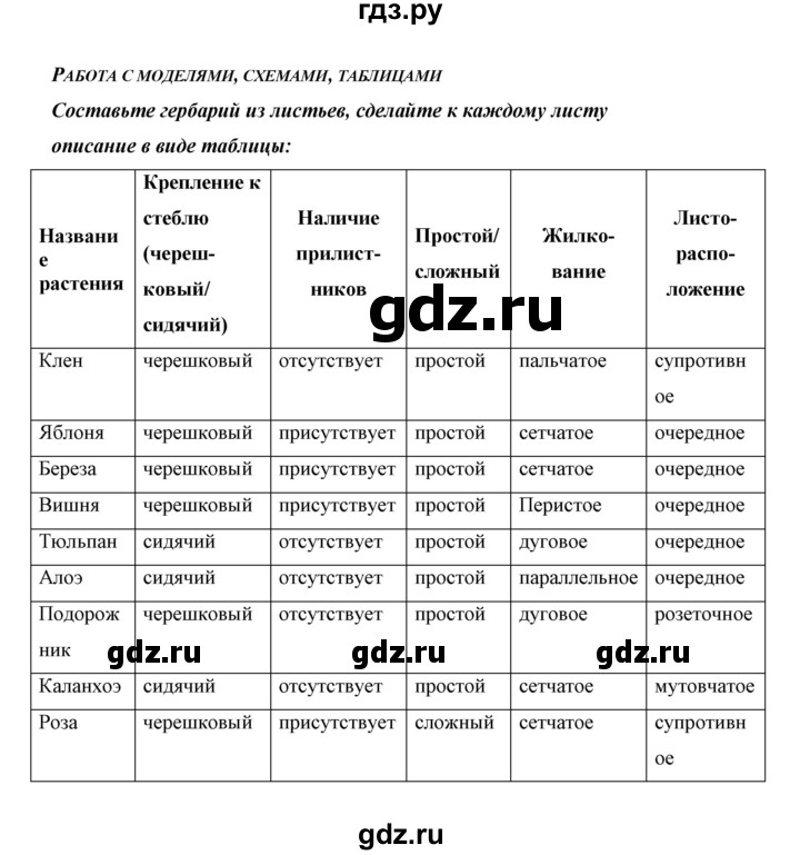 ГДЗ по биологии 6 класс Сивоглазов   страница - 38, Решебник