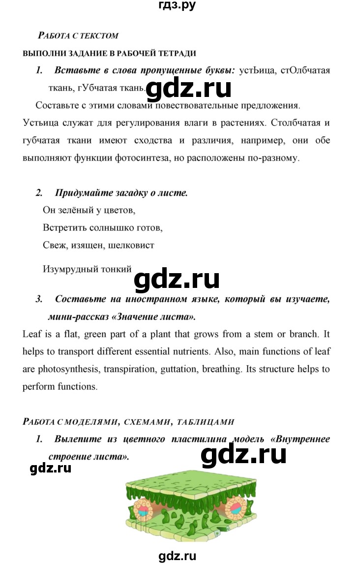 ГДЗ страница 42 биология 6 класс Сивоглазов, Плешаков