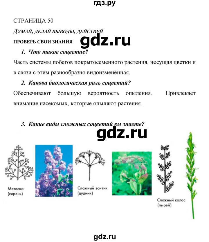 ГДЗ по биологии 6 класс Сивоглазов   страница - 50, Решебник