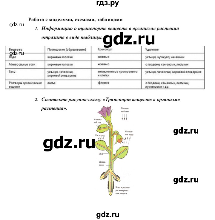 ГДЗ по биологии 6 класс Сивоглазов   страница - 76, Решебник