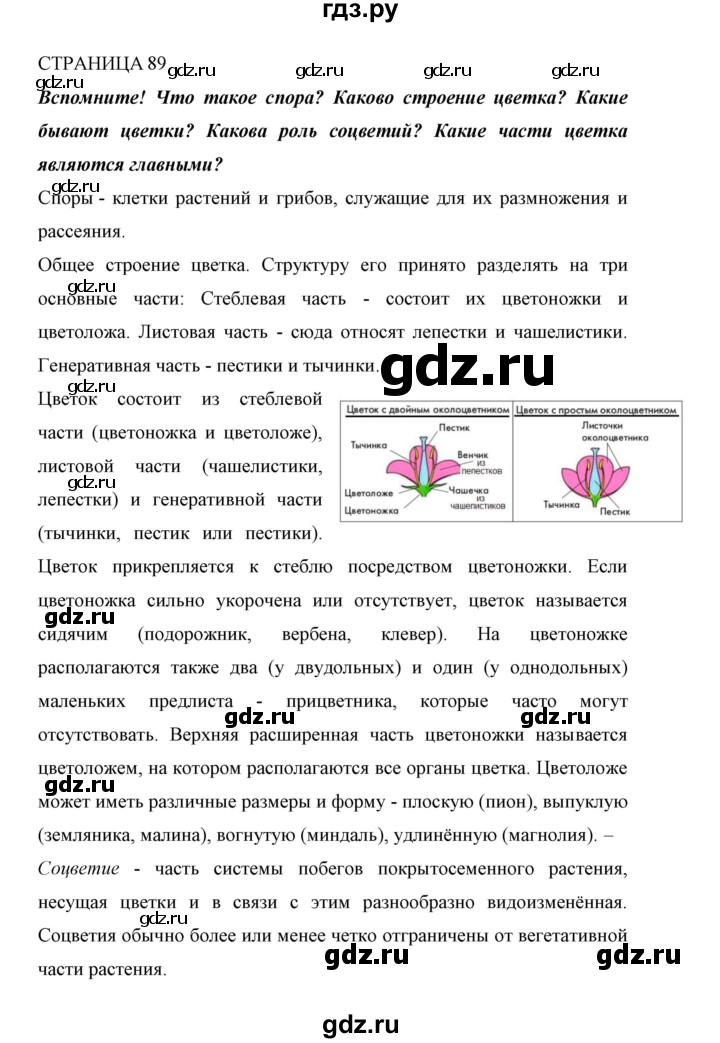 ГДЗ по биологии 6 класс Сивоглазов   страница - 89, Решебник