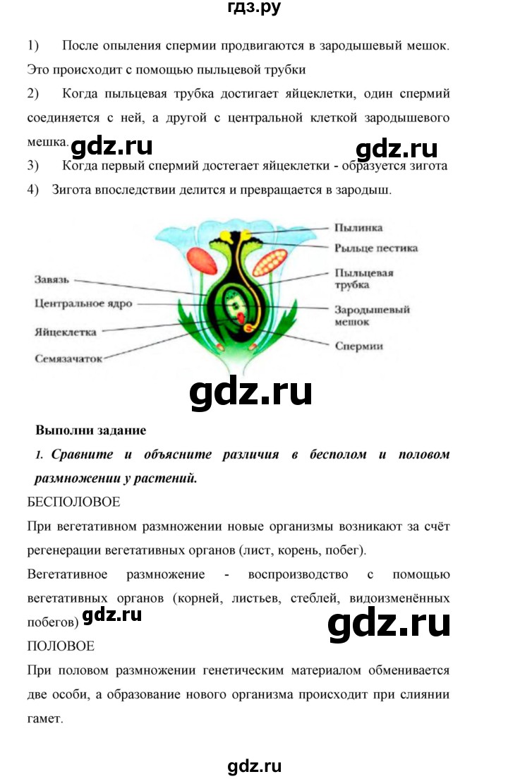 ГДЗ по биологии 6 класс Сивоглазов   страница - 92, Решебник