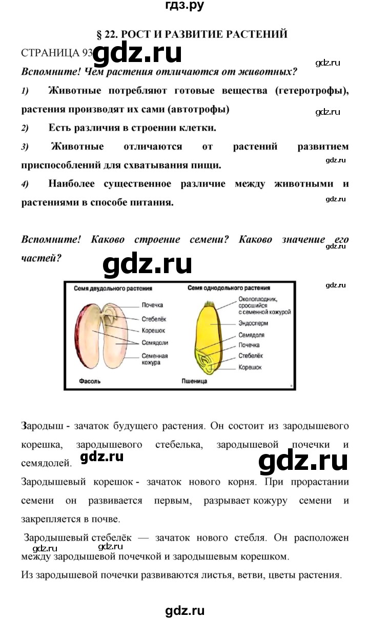 ГДЗ по биологии 6 класс Сивоглазов   страница - 93, Решебник